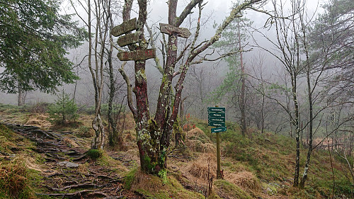 Both new and old signs pointing the way