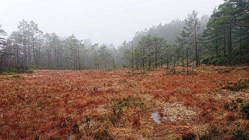 The wet area/trail north of Sethaug