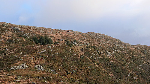 Approaching Smaa-Gimle and Gimle