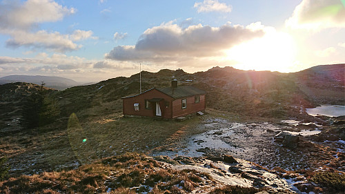 Årstadvoll