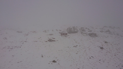 Gjøken from Borgavatnet