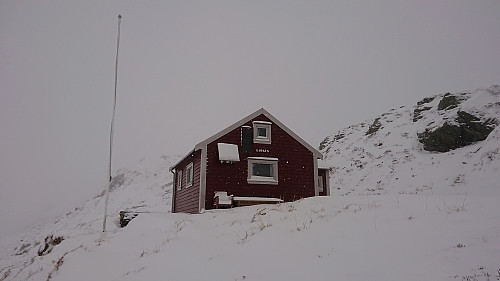 Gjøken