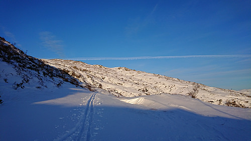 Looking back at the descent down to Grøvlevatnet