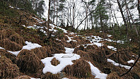 Trail starts climbing