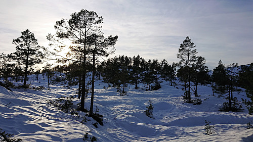 Approaching Snøyo