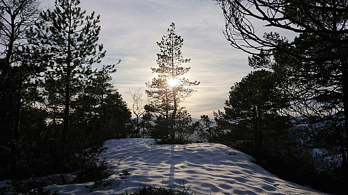 Snøyo