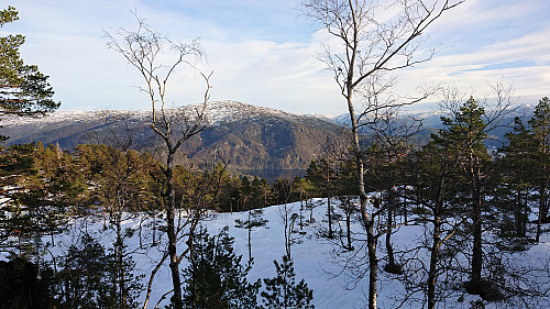 East from Snøyo