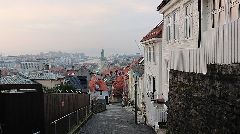 Skivebakken