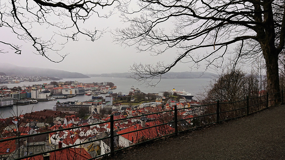 Fjellveien
