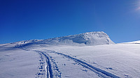 Kvitanosi