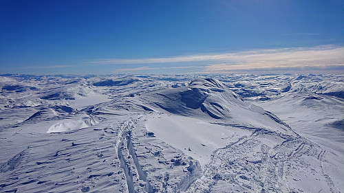 South from Kvitanosi