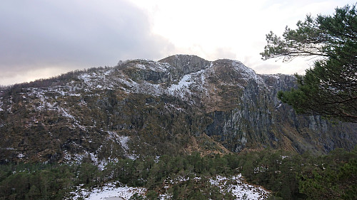 Vindeggene from Håhaugen