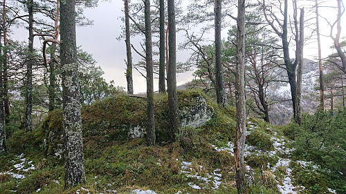 Håhaugen with Vindeggene in the background