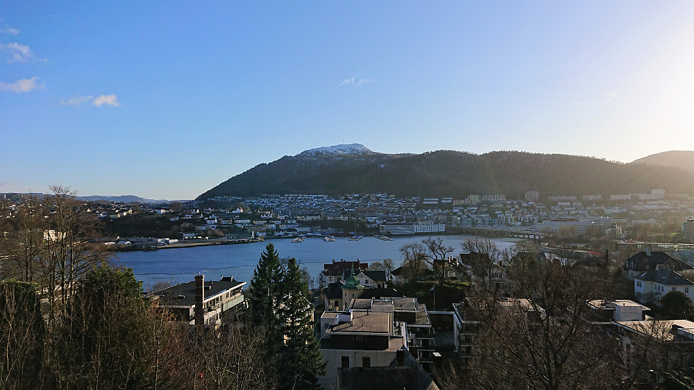 View toward Løvstakken from Øvre Kalfarlien