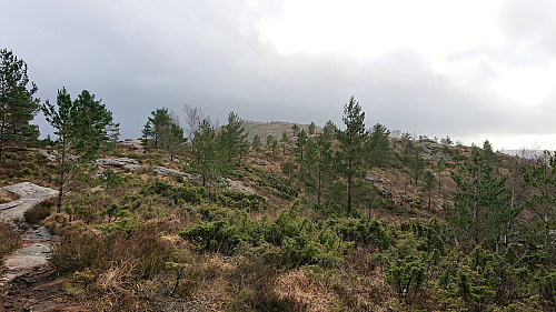 Melshovden in the distance