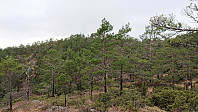 Terrain towards the summit