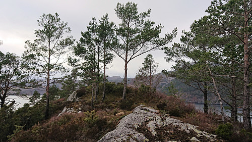 Drangskollen