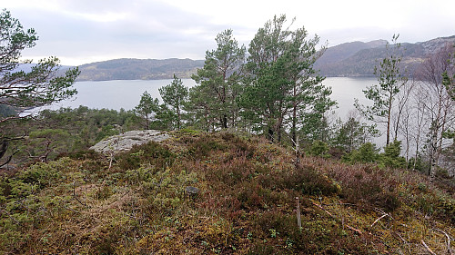 Drangskollen