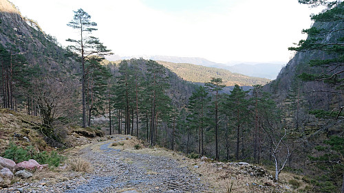 Tractor road down Molvikadalen