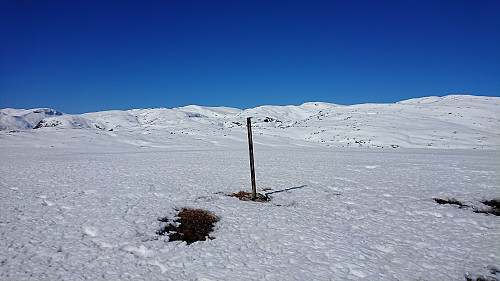 Helleberget with Myrdalsbreen, Synnevaskjer and Blåfjell in the background