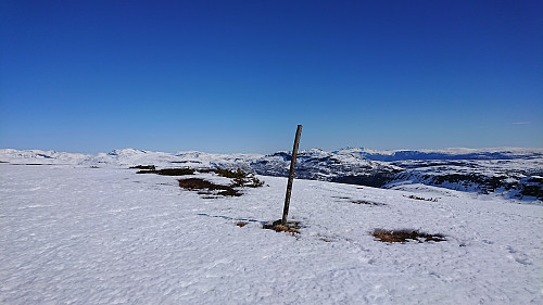 Helleberget with Hurrungane in the background