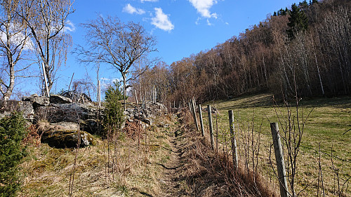 At the start of the marked trail