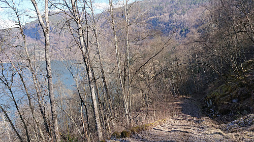 Descending along the tractor road