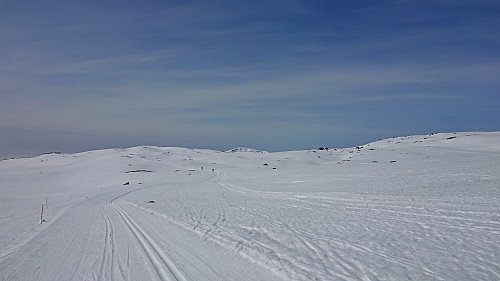 On the way to Høgehaug