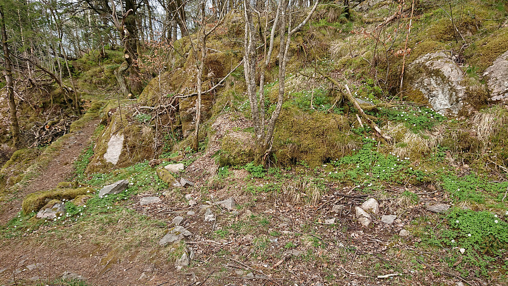 Spring at Hellen festning