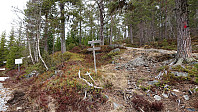 Trailhead Store Haugmelen