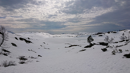 Prestavatnet
