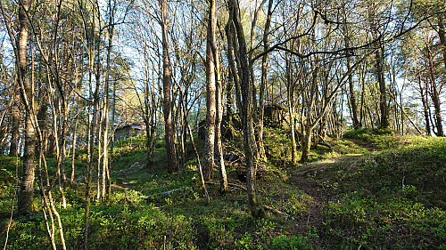 Fagerdalsfjellet