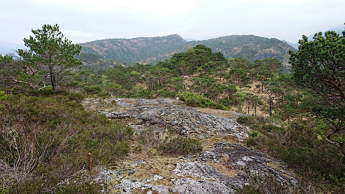 Osen with Sjurstonipa and Spåkefjellet in the backgrund