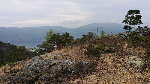 Trig marker at the eastern summit of Osen
