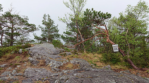 Spåkefjellet