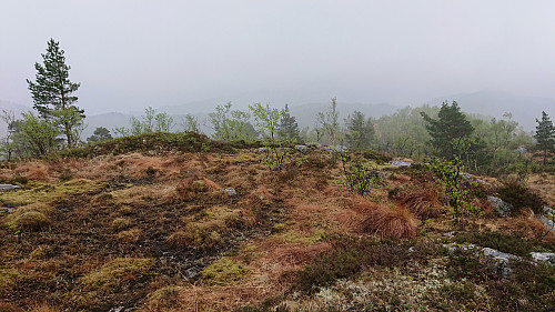 Beitelen in the fog
