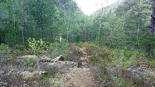 Start of trail to Matland and probably also Beljaråsen(?)