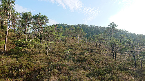 On the marked trail to Beljaråsen