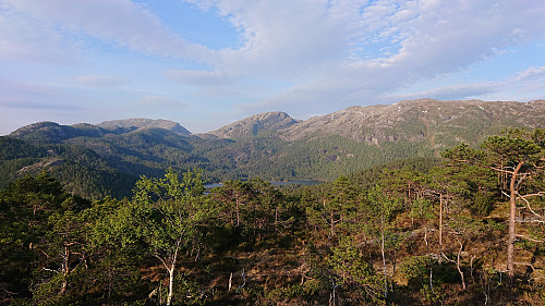 Looking back toward Grytefjellet from Beljaråsen
