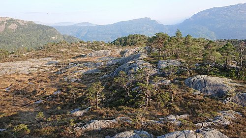 From the start of our southern descent from Beljaråsen, before it got more challenging...