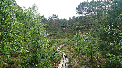 Start of the trail from Eidsvåglien toward Hellemyrstien