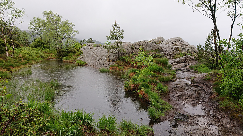Ørneberget