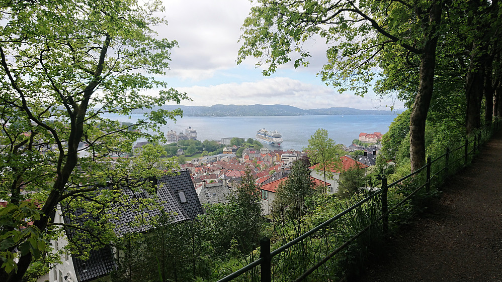 View from Fjellveien