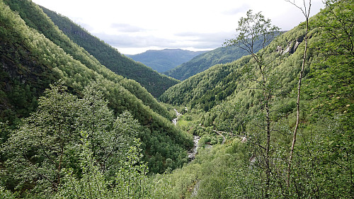 Ardalen