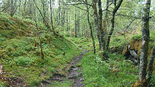 The trail along the ridge