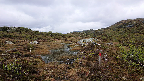 Trail to Dalestølen