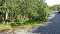 Eastern trailhead Myrbærstøfjellet