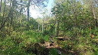 Gate above Nonkletten trailhead