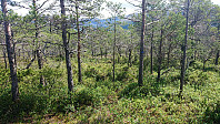 Marked trail toward Sørkletten