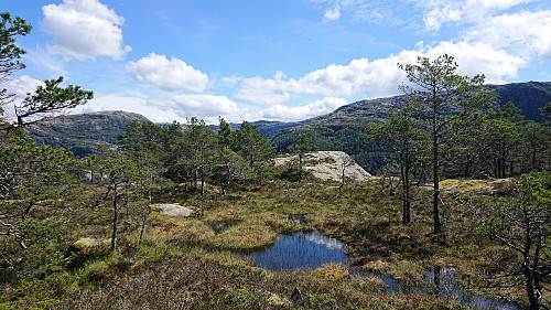 The highest point at Sørkletten